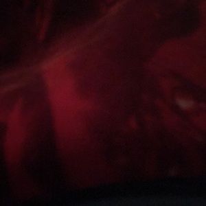 Meet your Posher, Bryan